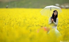 joyheitui官方网址